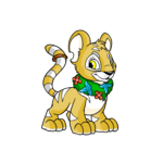island kougra