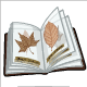 Leaf Skeleton Album