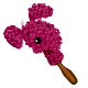 Blumaroo Bottle Scrubber