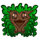 Woodland Yoakie