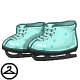 Twinkle Toe Skating Shoes