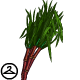Sugar Cane