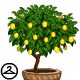 Lemon Tree Trinket