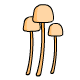 mushroom5-5686756