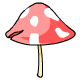 mushroom9-9278009